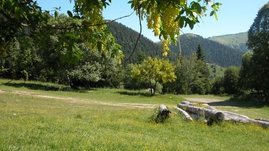 Trop chaud ? Vite, filez à la montagne !