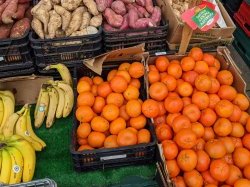 La préfecture délivre le permis de construire du futur Marché d'Intérêt National (MIN) de Nice