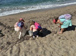 Au Pradet, une action de sensibilisation pour un littoral plus propre