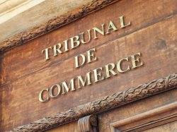 Expérimentation : douze tribunaux des activités économiques à partir du 1er janvier 2025