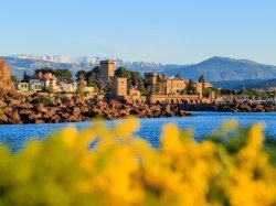 L'Office de tourisme de Mandelieu décroche le label Destination d'Excellence