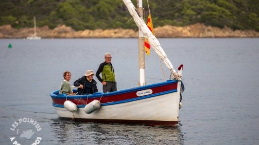 Les Pointus reviennent à Port-Cros pour faire revivre la Méditerranée d'autrefois