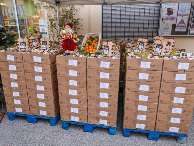 Cannes : la distribution