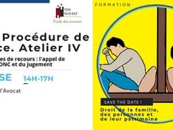 Formation EDA Sud Est : Cycle Procédure de divorce. Atelier IV - Les voies de recours 