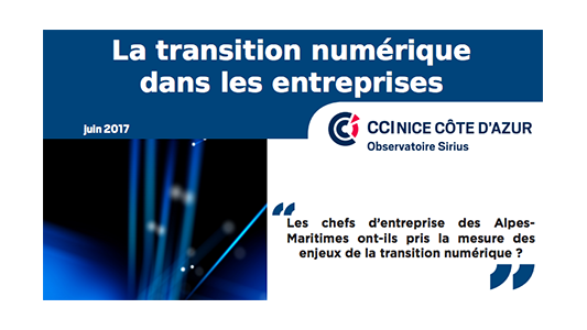 Transition numérique dans les entreprises des Alpes-Maritimes : il y a encore du travail 