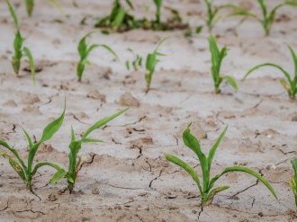 AVIS DE LA DDTM : Reconnaissance de calamite ? agricole, de ?posez vos dossiers !