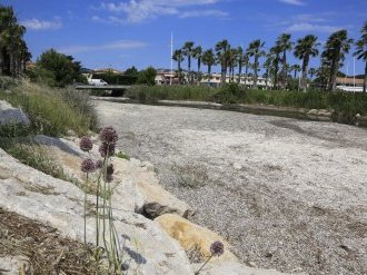 Enlèvement des feuilles mortes de posidonie à Sanary-sur-Mer