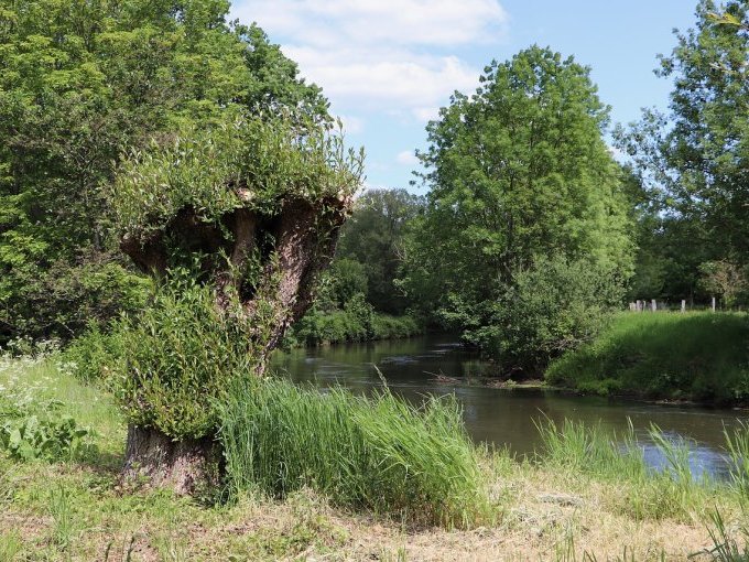 Agence de l'eau : quel