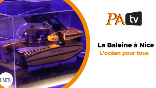 La Baleine à Nice : l'océan pour tous