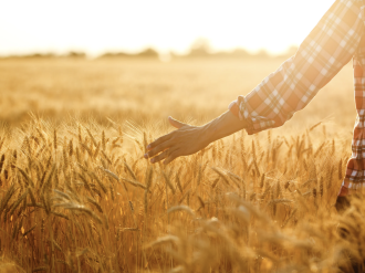 Le partage du risque climatique : vers une responsabilisation des acteurs de l'agriculture à la prise en charge du risque climatique