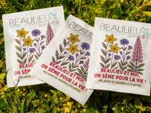 À Beaulieu, l'office de tourisme distribue des graines de fleurs pour soutenir la biodiversité