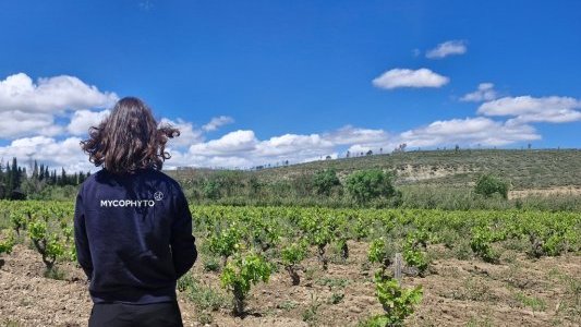 Une filiale au Maroc et une présence au SIAM pour Mycophyto