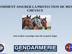 Une Opération Tranquillité Equestre lancée par la Gendarmerie du Var