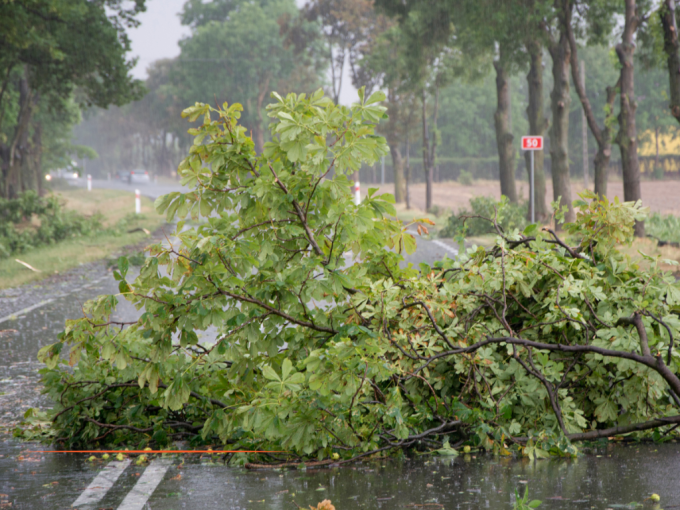 L'essentiel de l'actualit