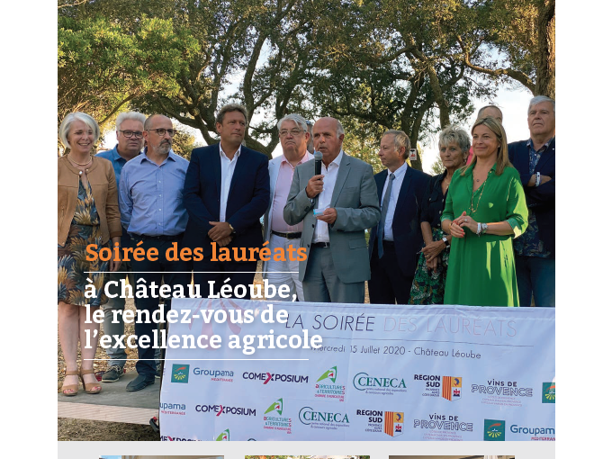Petites Affiches VAR (…)
