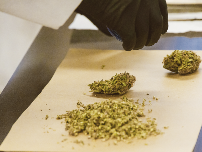 Drogue : le profil inquié