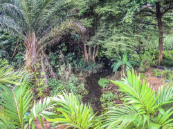 L'utilité de la politique de décarbonation des compagnies d'assurance au Gabon
