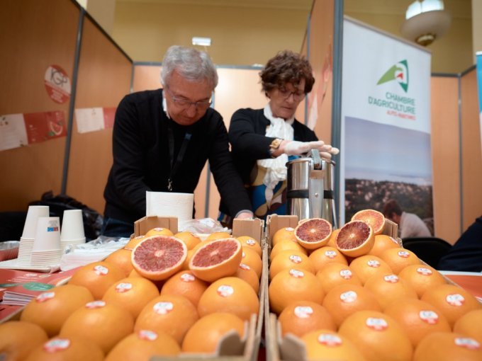 Le Salon International de