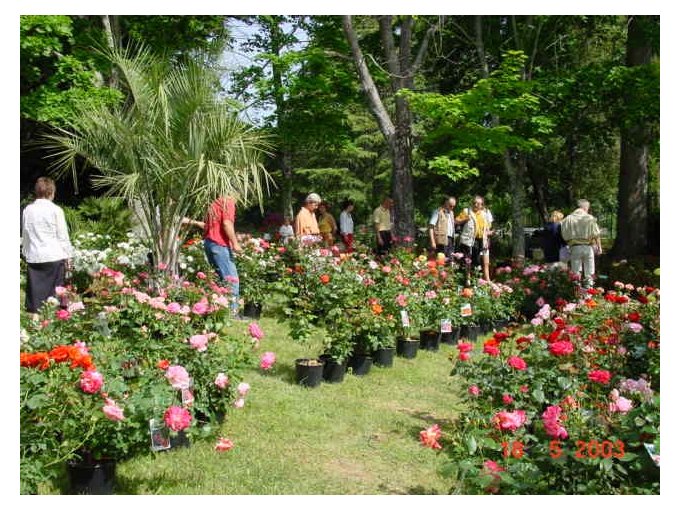 13ème SALON DES PLANTES