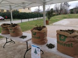 Pensez au broyat pour les jardins avec vos sapins !