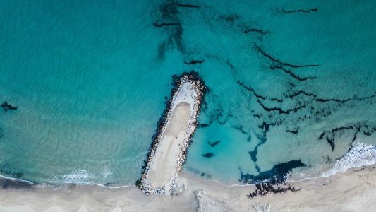  "Cannes Résilience" le plan d'actions cannois pour sauver et relancer le tourisme d'affaires et de loisirs