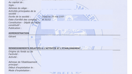 L'ouverture du Kbis numérique gratuit à chaque chef d'entreprise : la grande annonce des greffiers des tribunaux de commerce réunis en congrès