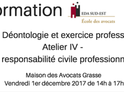 Formation EDA Sud Est : Cycle Déontologie et exercice professionnel Grasse. Atelier IV - La responsabilité civile professionnelle