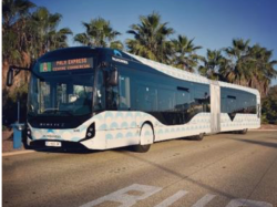 À compter du 11 mai, reprise progressive du trafic sur le re ?seau Palm Bus : modalités