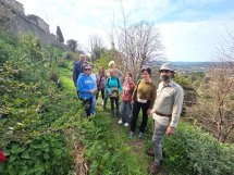 Saint-Paul-de-Vence : Une forêt au pied des remparts