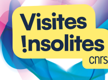 Entrez dans les coulisses de la recherche avec les Visites insolites du CNRS 2025