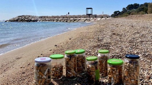 Au Pradet, grande opération de nettoyage des plages et des fonds marins