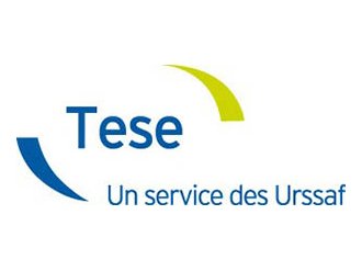 Prélèvement à la source : le TESE ne peut pas être LA réponse aux maux des entreprises