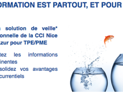 FORMATION CCI NCA : Faire de la veille comme les grandes entreprises, c'est possible !