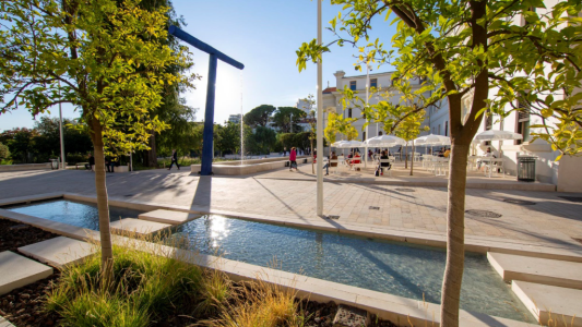 À Toulon, de l'or pour Chalucet après 5 ans d'usage