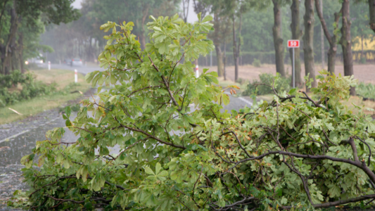 L'essentiel de l'actualité de ce vendredi 9 janvier