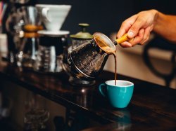Concours jeune professionnel du café Malongo 2021, une édition 2.0 pour soutenir la filière café !