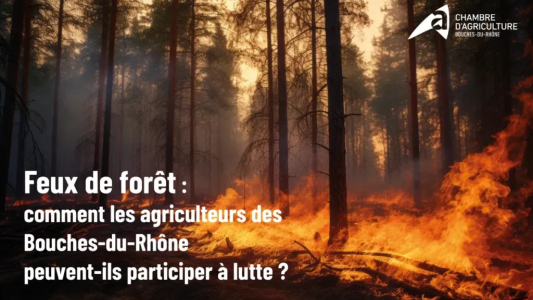 La Chambre d'agriculture et le SDIS 13 mobilisent le monde agricole