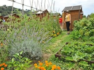 Cagnes-sur-Mer : Le succès des jardins potagers en ville