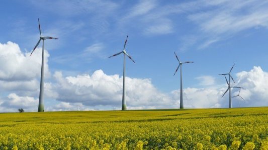 Utiles ou futiles, nos infos pour bien démarrer ce vendredi 24 juillet
