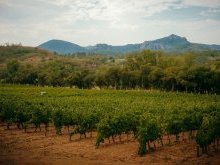 À Mandelieu, le Domaine de Barbossi ouvre ses portes à des visites guidées hebdomadaires