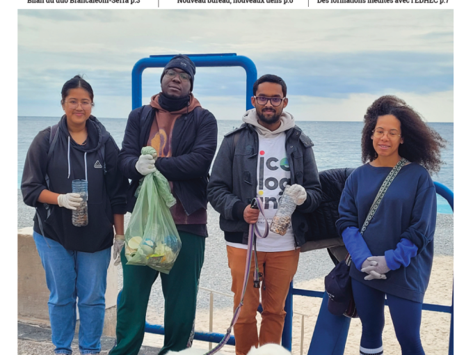 Les Petites Affiches (…)