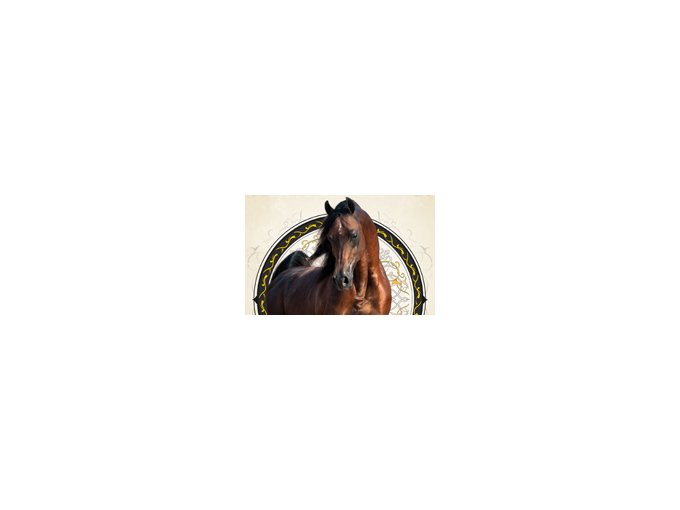 Menton : Championnat (…)
