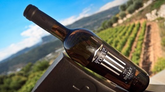 Vins d'été : le rosé très prisé du Domaine de Toasc, niché sur les hauteurs de Nice