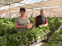 Hervé Beneventi, la qualité des fruits et légumes