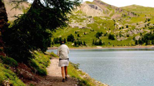 Mercantour : le parc défend la diversité