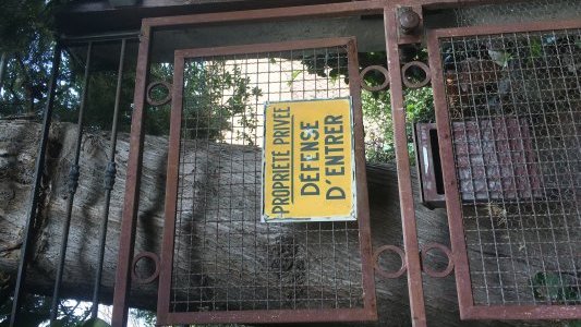 Veni, vidi...vite dit ! les brèves de J-M Chevalier 