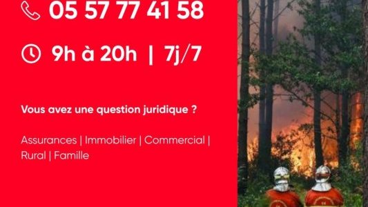 Incendies en Gironde : le Barreau de Bordeaux met en place une ligne d'urgence pour les sinistrés