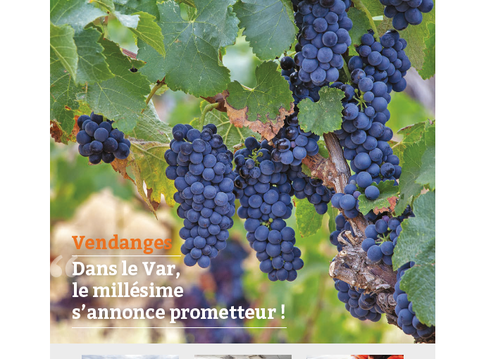 Petites Affiches VAR (…)