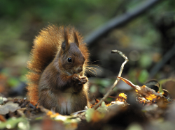 La Caisse d'Épargne Côte d'Azur relance son appel à projets pour la biodiversité en 2026