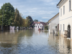 Net Zero Insurance Alliance : De l'ambition à l'impuissance